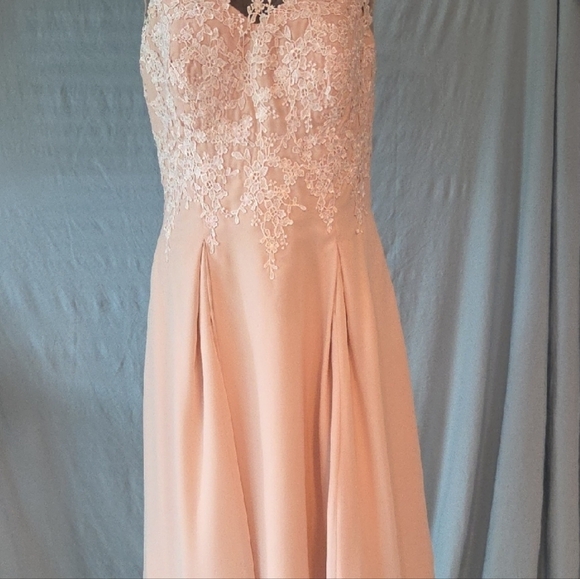 Elegant Lace Overlay Pink Dress - Picture 3 of 8